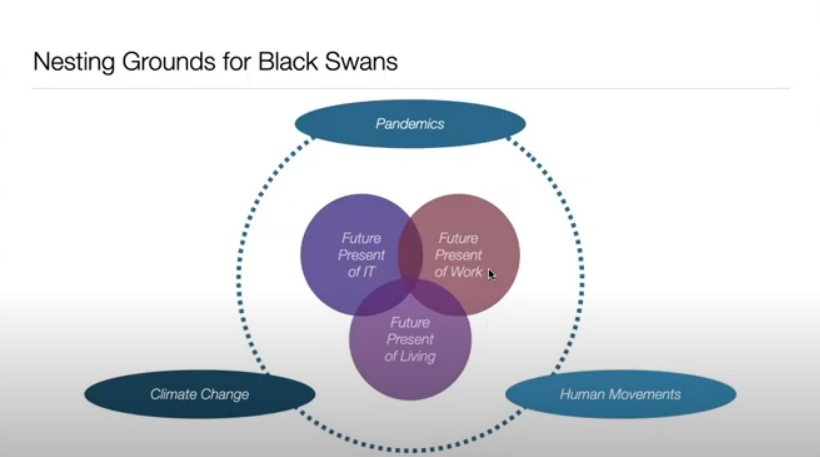 Six nesting grounds for Black Swan Events