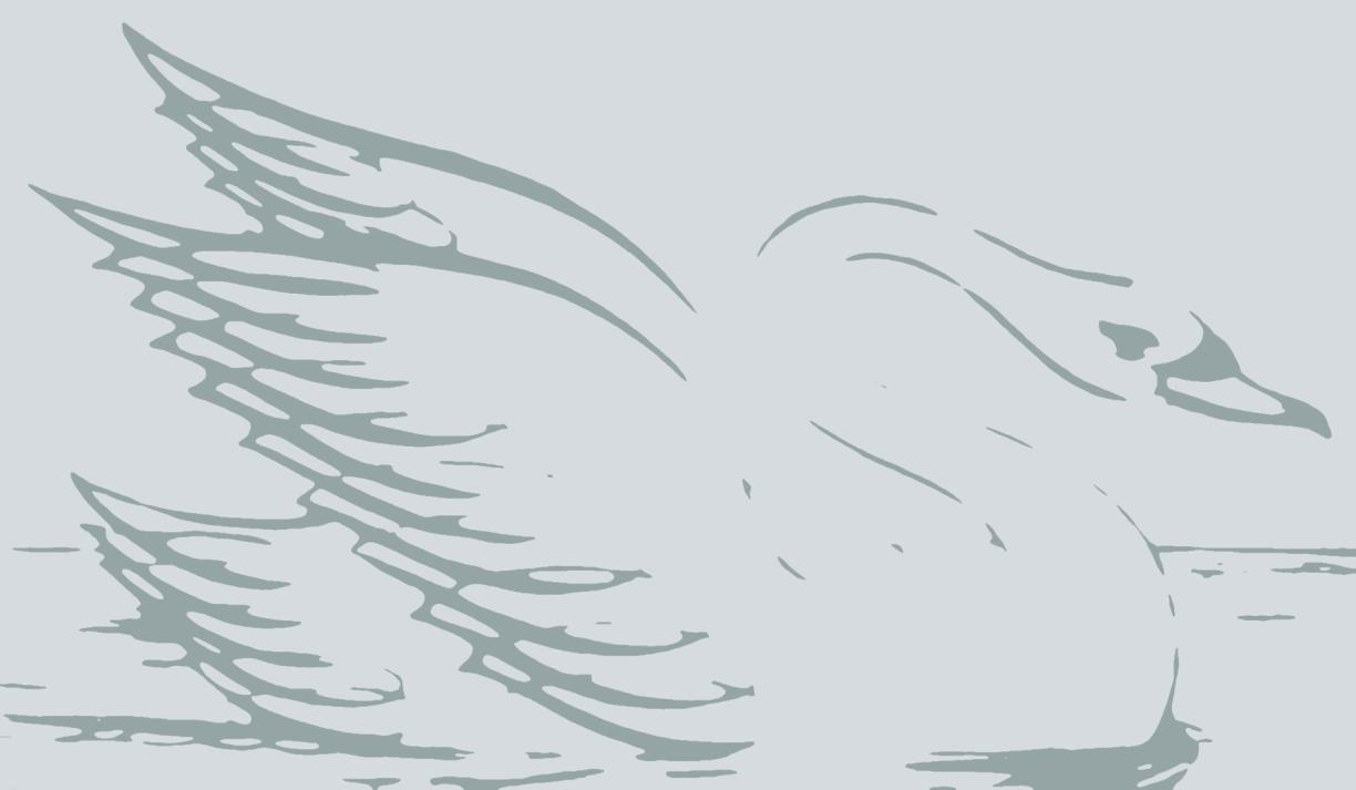 Calligraphic Swan