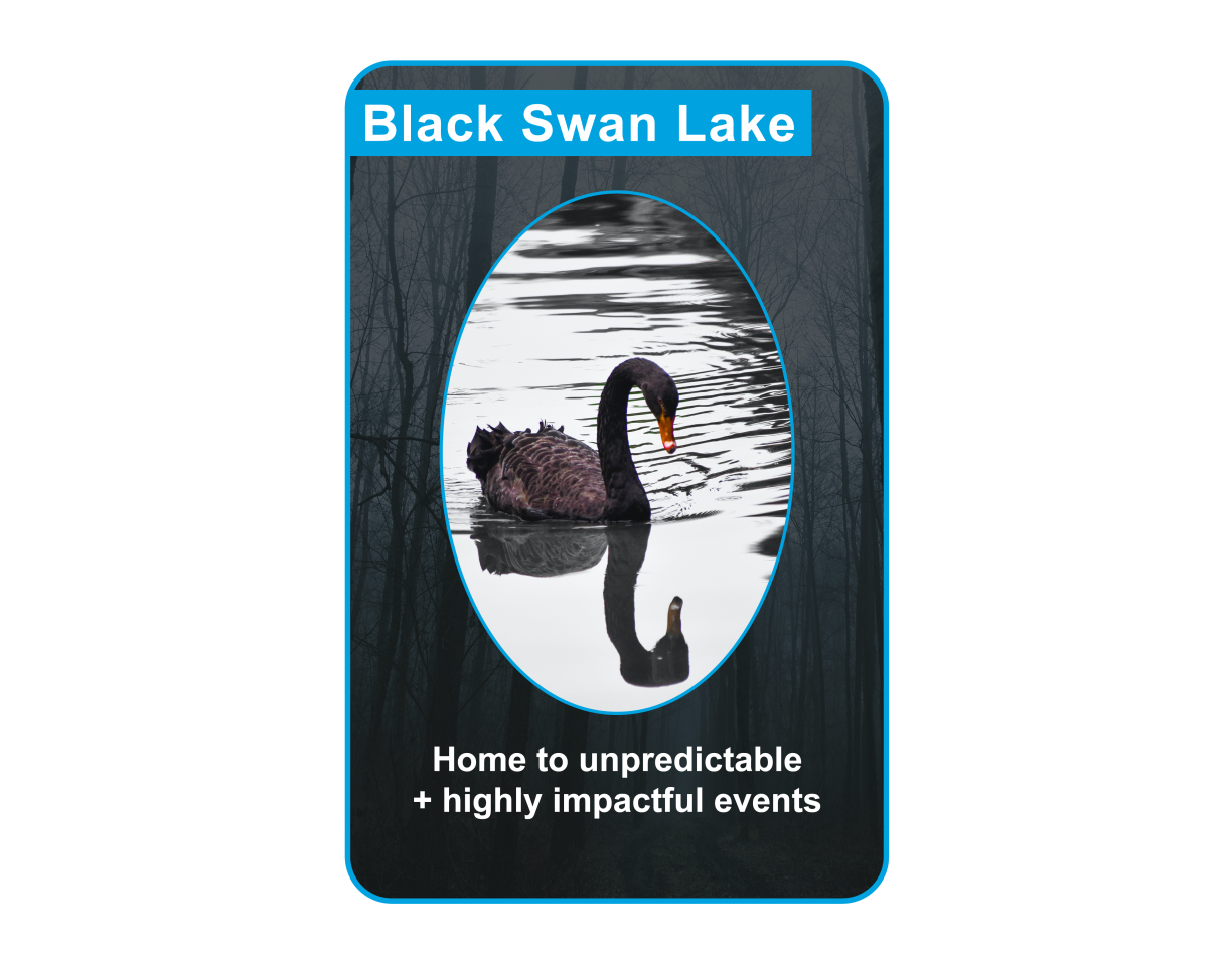 A playing card with words "Black Swan Lake: home to unpredictable + highly impactful events" 